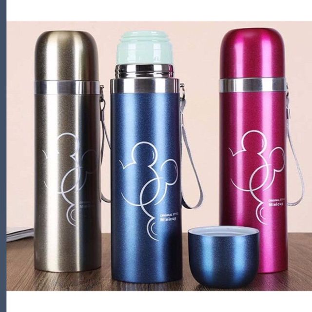 Bình Giữ Nhiệt Inox Cao Cấp 500ml Hoạt Hình Đáng Yêu - Nắp Làm Thành Ly Uống Nước Có Quai 2in1