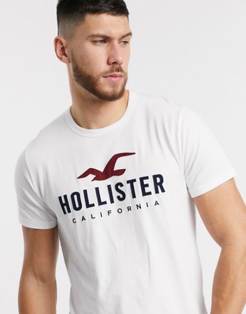 Áo thun logo thêu Hollister