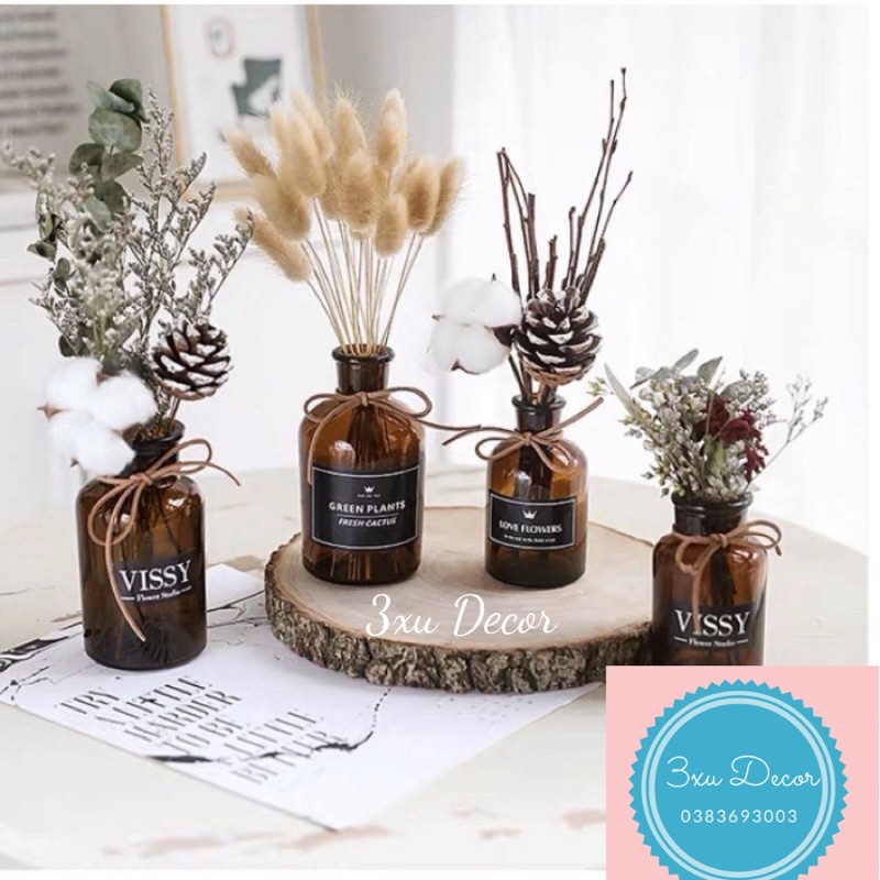 Cành hoa thông khô, hoa bông Gòn, hoa khô Decor, phụ kiện chụp ảnh