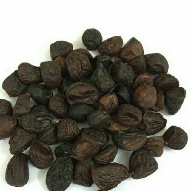 Hạt dổi nếp rừng
