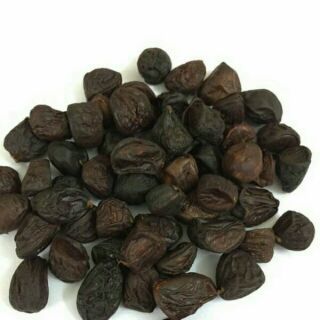 Hạt dổi nếp rừng
