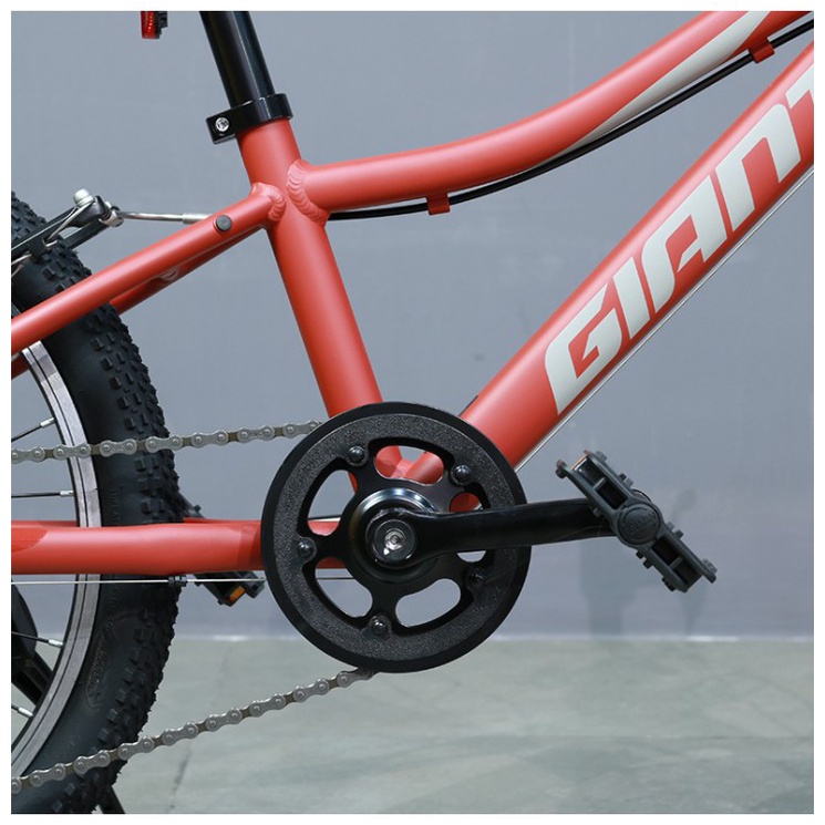 Xe đạp địa hình trẻ em Youth Giant XTC JR 20 Lite - 2021
