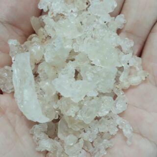 Combo chè dưỡng nhan, hạt é cho khách