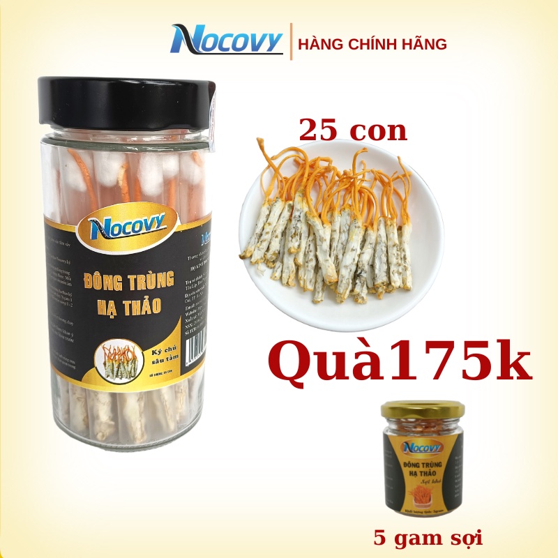 Đông trùng hạ thảo nguyên con ký chủ sâu tằm khô Nocovy giúp hỗ trợ hậu covidd, tăng cường sinh lý bồi bổ cơ thể