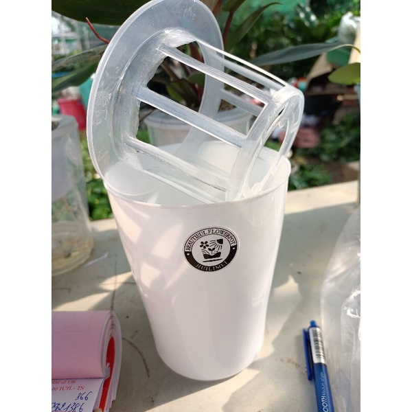 Chậu trồng cây thủy sinh