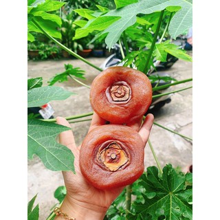 HỒNG CHÉN SẤY DẺO