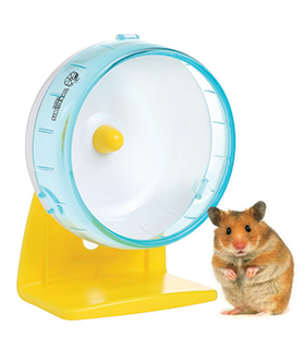 Hamsters