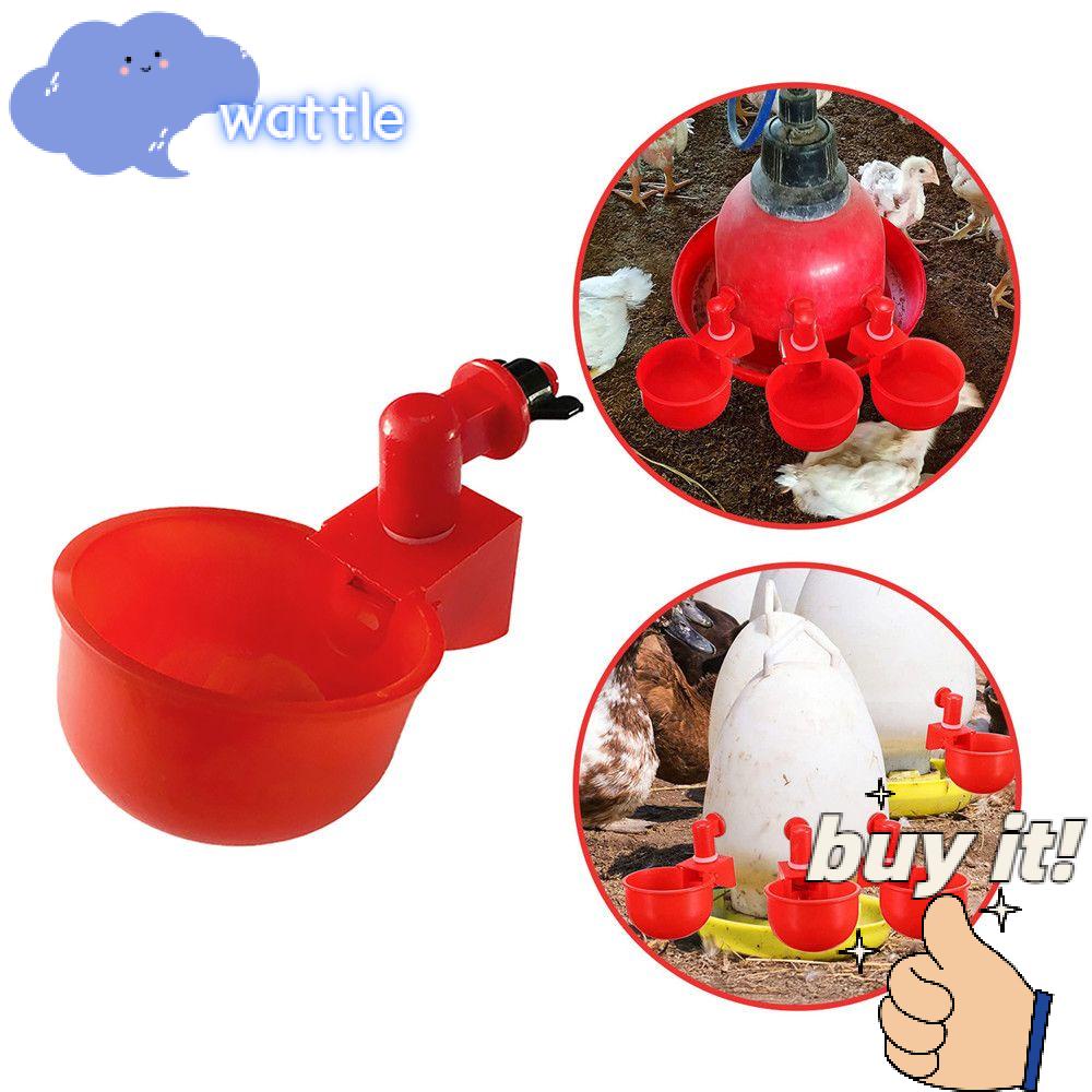 Set 1/6 Dụng Cụ Cho Gà Uống Nước Tự Động Tiện Dụng