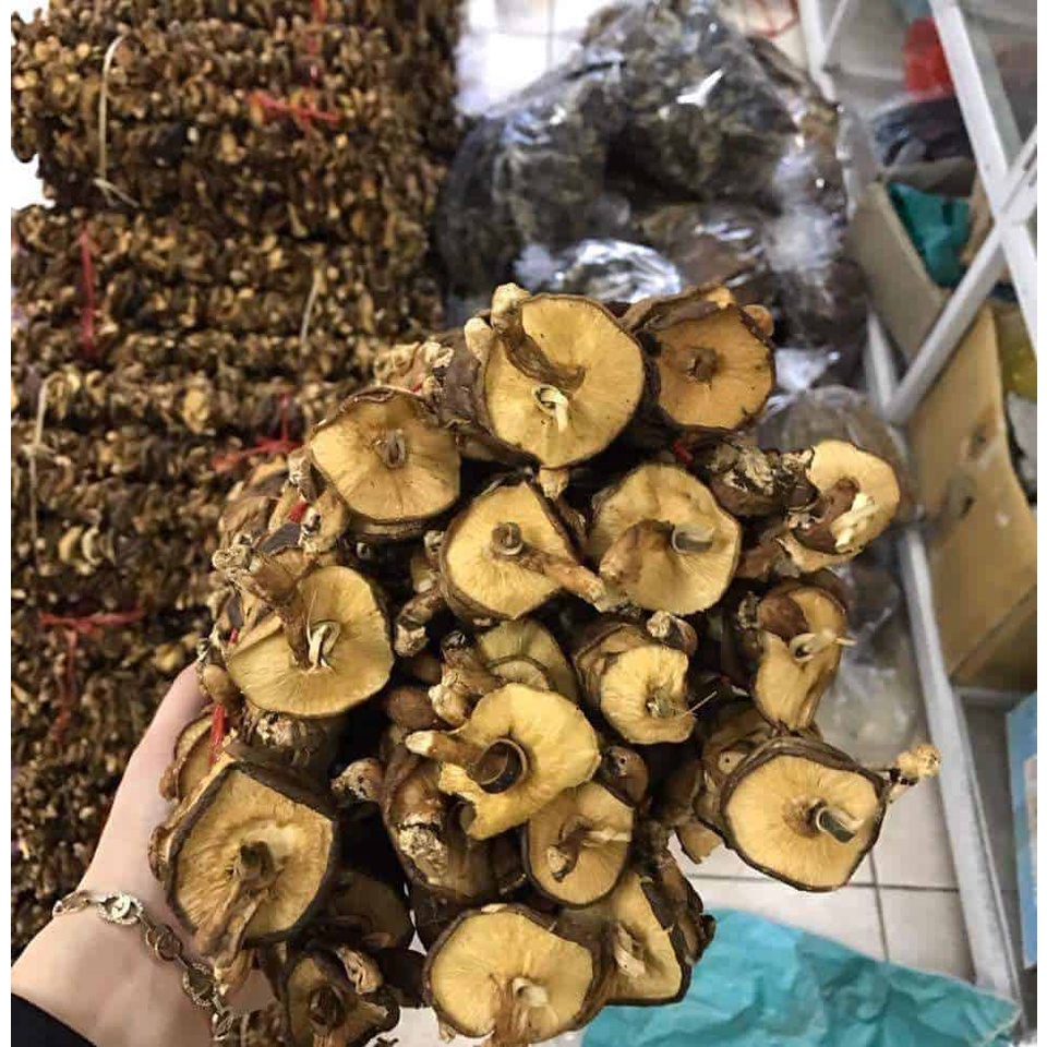 Nấm Hương Rừng Cao Bằng Túi 500G Thơm, Ngon Giàu Dinh Dưỡng, Đặc Sản Tây Bắc