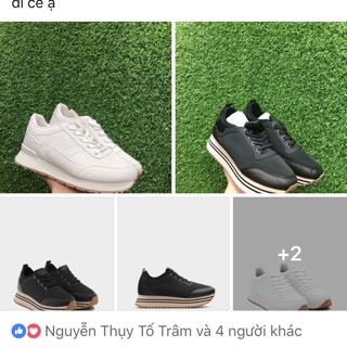 giày sneaker pull and bear