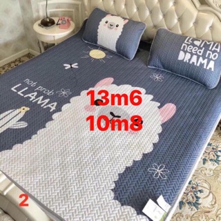 Chiếu điều hoà tencel 1,8x2m