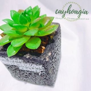 Cây Giả - Chậu Sen Đá Hoa Sen MSOH
