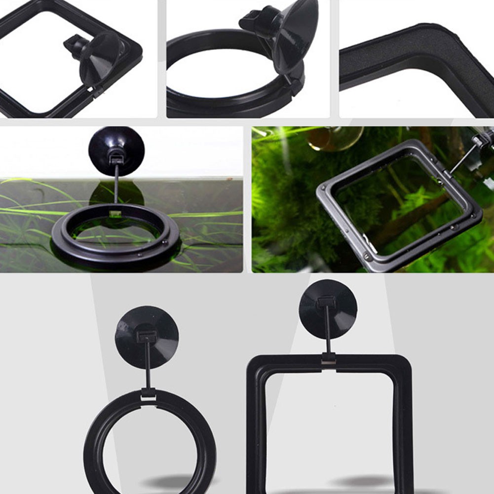 Khay Nổi Vuông/Tròn Cho Cá Ăn Gắn Bể Cá - Vòng Giữ Thức Ăn Cho Cá