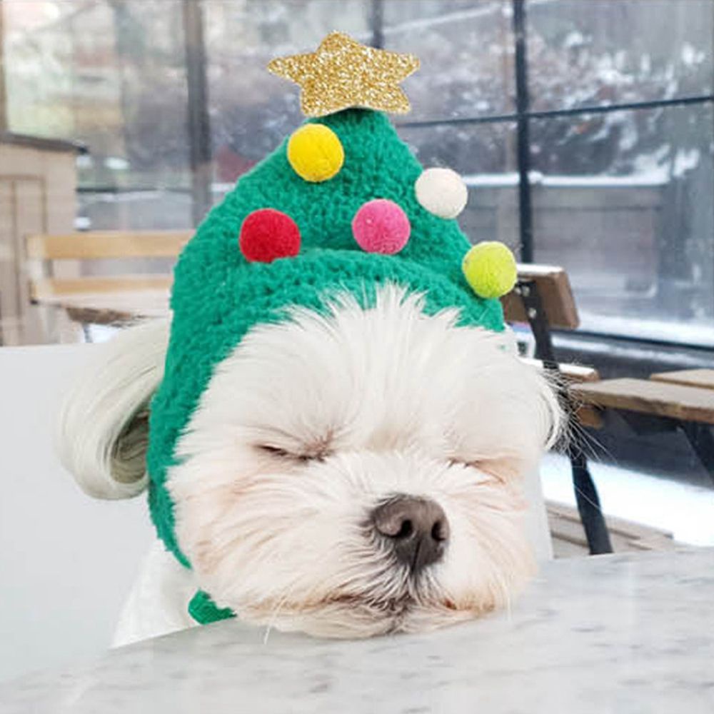 [Yếm Đeo Và Mũ Noel Thú Cưng] ⚡ Đeo Set yếm tam giác + mũ họa tiết ông già noel thời trang thu đông cho thú cưng