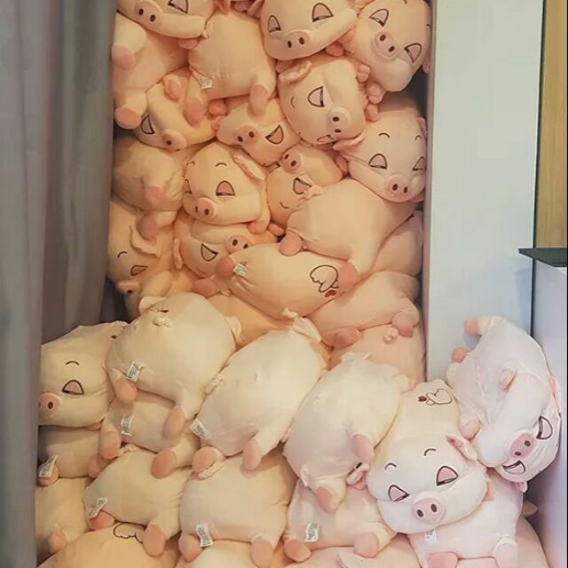 Lợn híp 50cm có chăn