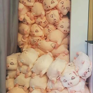 Lợn híp 50cm có chăn