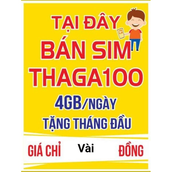 sim vào mạng