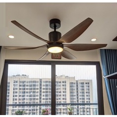 Quạt trần đèn - Quạt Trần Đèn 6 cấp độ gió - Có điều khiển từ xa với 6 tốc độ gió (Bảo hành 24 tháng)