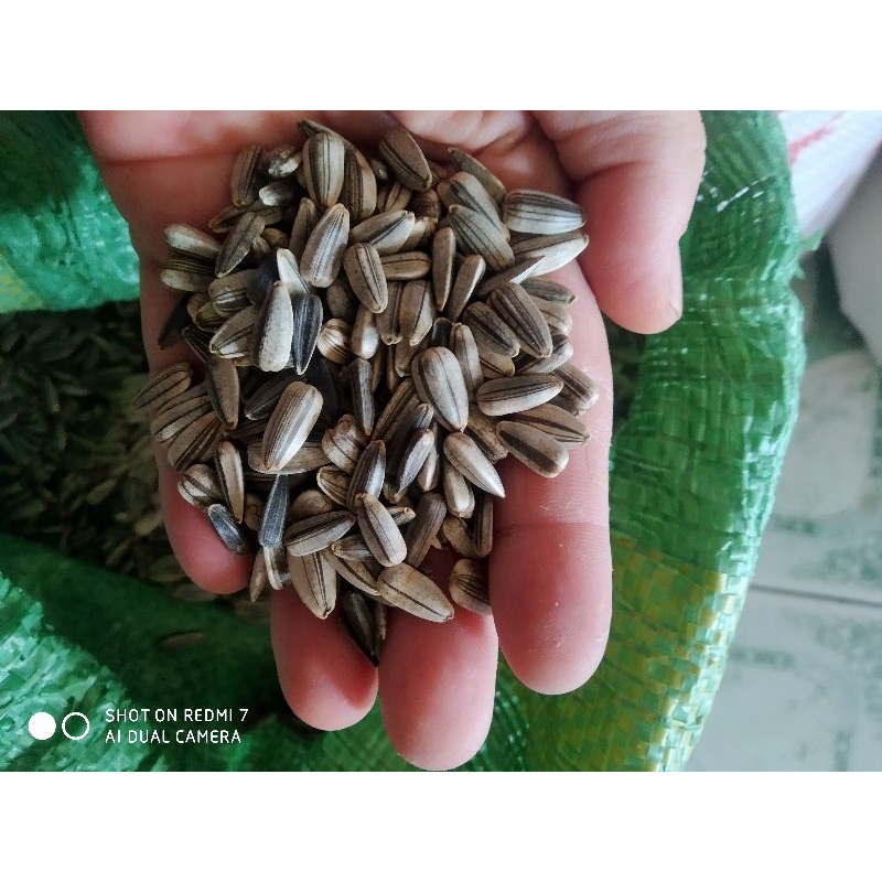 Hướng dương hạt nhỏ 500g
