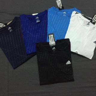 Bộ adas cổ tròn chữ ngang