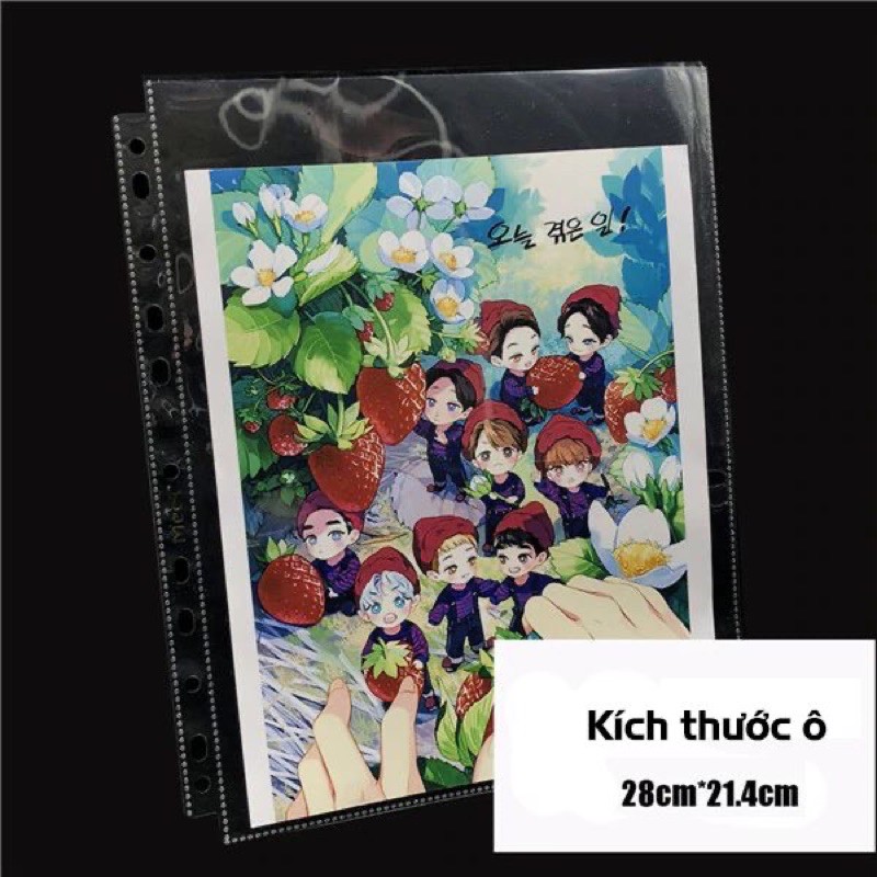 Sheet đựng ảnh card / postcard / poster cho binder