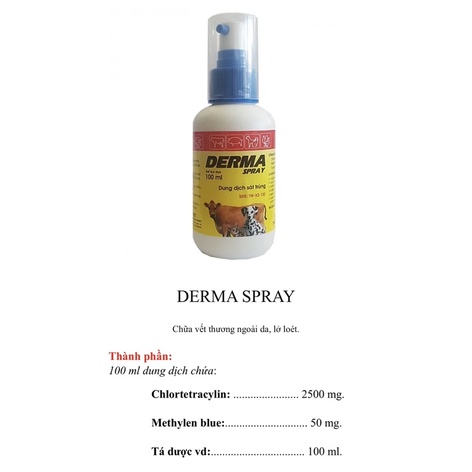 DERMA SPRAY – Dung dịch sát trùng, chữa vết thương ngoài da, lở loét 100ml