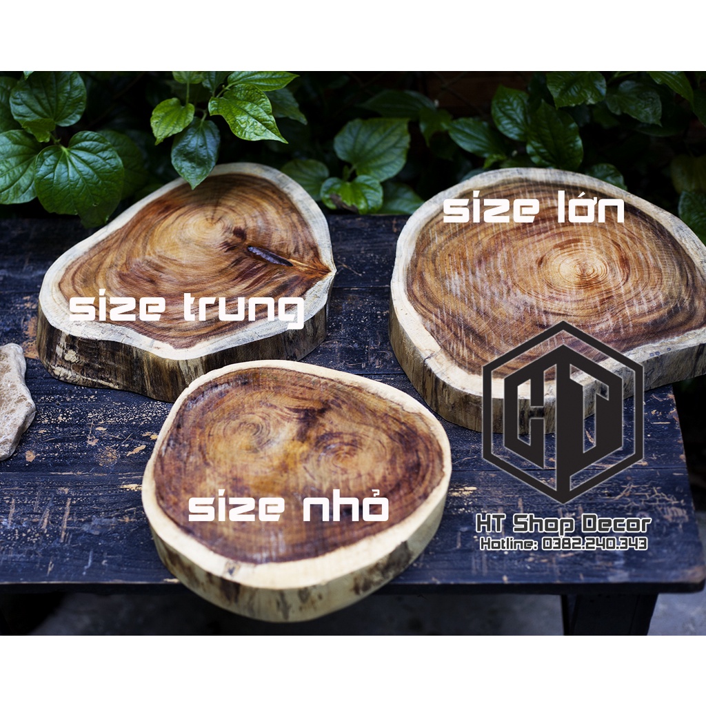 Đế vân gỗ tự nhiên Dùng Để tượng, gốm, ấm trà , Lót Ly Tách, Nến Thơm, chậu bonsai