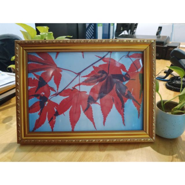 Khung bằng khen A4 Loại 1 Siêu Đẹp | BigBuy360 - bigbuy360.vn