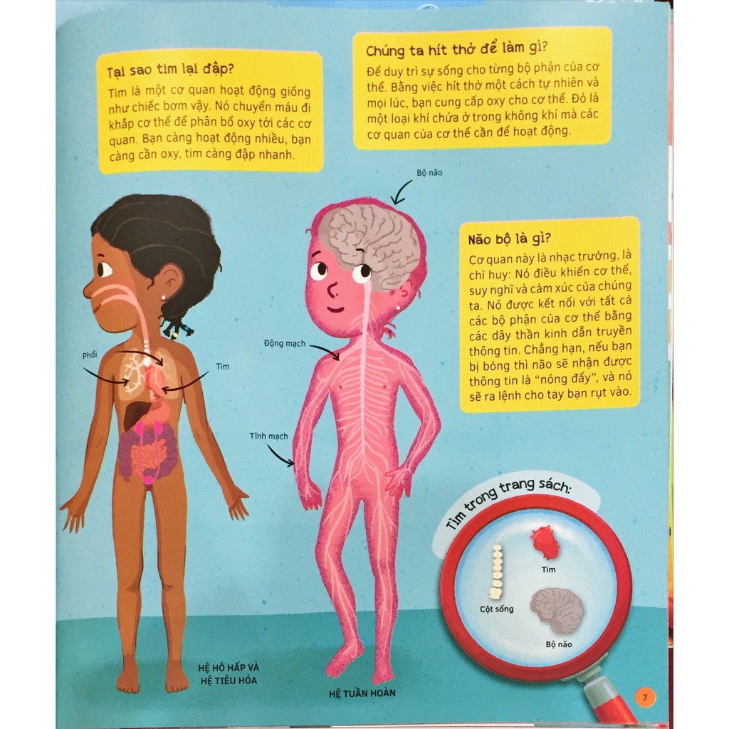 Sách - Combo 6 cuốn hỏi đáp dành cho trẻ em từ 5 tuổi - Tủ sách bách khoa tri thức Đinh Tị