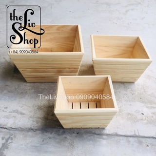 Chậu cây bằng gỗ thông 3 sizes