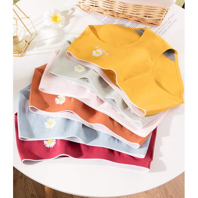 Quần Lót Cotton Kháng Khuẩn Không Đường May Hoa Cúc P294