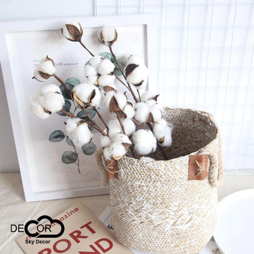 Cành hoa gòn trang trí Noel, Giáng Sinh, Xmas, Christmas, tiểu cảnh nhà cửa, cửa hàng, nhiều bông, Sky decor