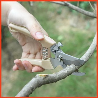 Kéo cắt cành chuyên dụng, tỉa cây cảnh, bonsai lưỡi thép không gỉ