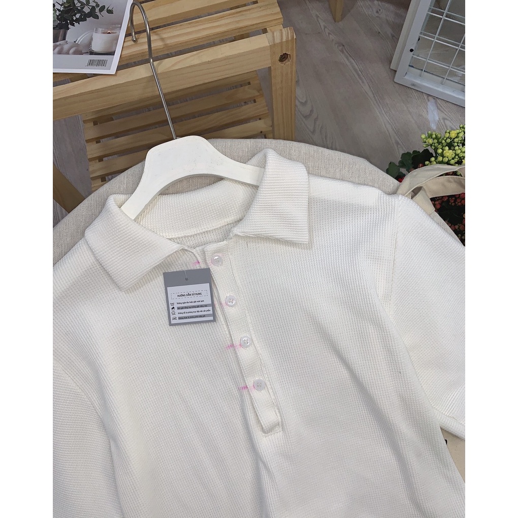 Áo thun cộc tay croptop nữ cổ polo vải tổ ong trơn trắng basic phom rộng dáng lửng suông hở eo sexy hàn quốc C812