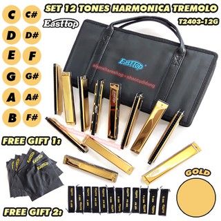 Bộ 12 Cây Kèn Easttop T2403-12 Phiên Bản Vàng Gold - Set 12 Tones Harmonica Easttop Kèm Quà Tặng Độc Đáo
