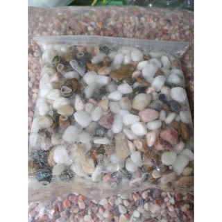 Sỏi đá tự nhiên sỏi biển trang trí tiểu cảnh hồ cá 1kg