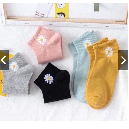 MỚI NHẤT 2020-TÚI 10 ĐÔI TẤT HOA CÚC CỔ CHẤT COTTON