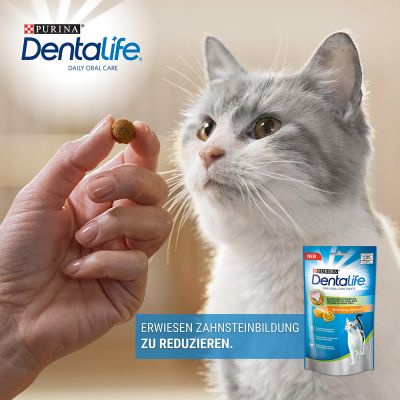 40gr - Bánh Dental life Purina chăm sóc răng miệng hàng ngày cho mèo-Purina Dentalife Cat Daily Oral Care Chicken Snacks