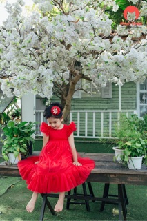 Đầm công chúa thiết kế