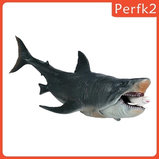 Mô hình cá mập Megalodon chân thật
