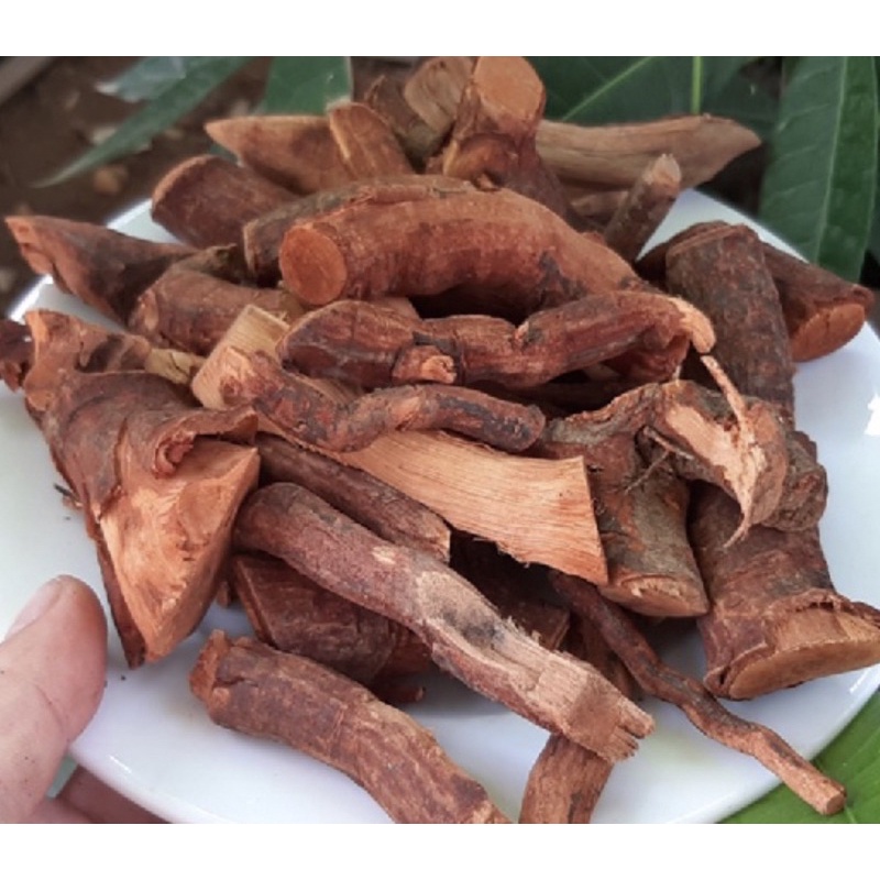 Rễ mú từn- cù boong lậu