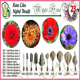 Dụng cụ làm thạch rau câu 3D Ngọc Huệ (bộ số 23 - hoa thược dược, thu mẫu đơn)