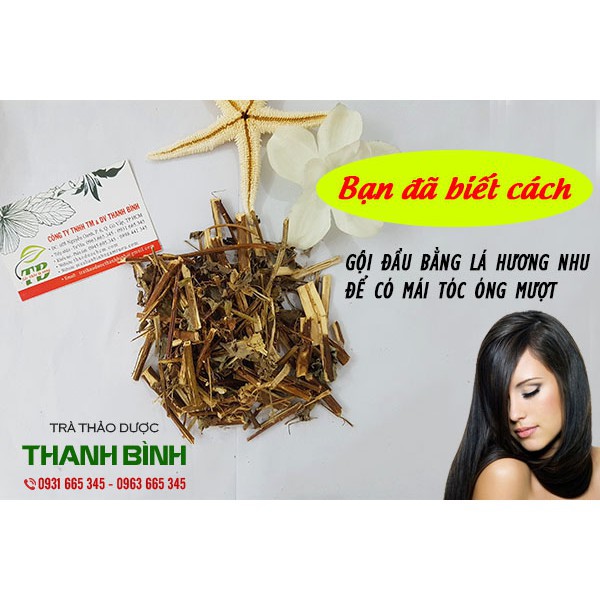 Cây Hương Nhu Khô 500g - Thảo Dược Uy Tín