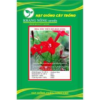 Hạt giống hoa tóc tiên đỏ kns3473 - gói 10 hạt