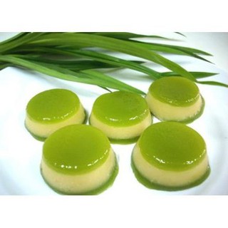 COMBO 2 CÂY LÁ NẾP (LÁ DỨA)