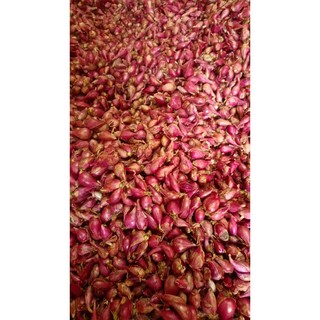 HÀNH TÍM LÝ SƠN - 1KG