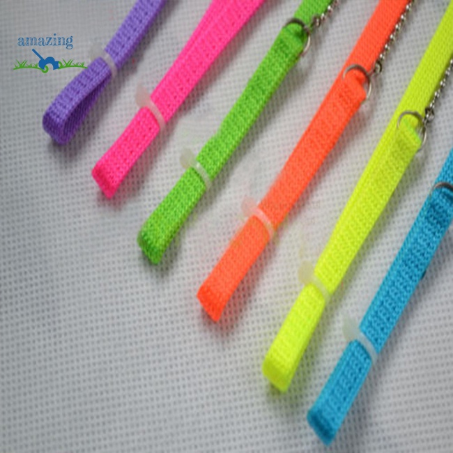 Dây Dắt Thú Cưng Bò Sát Đi Dạo Phiên Bản Chuỗi Xích