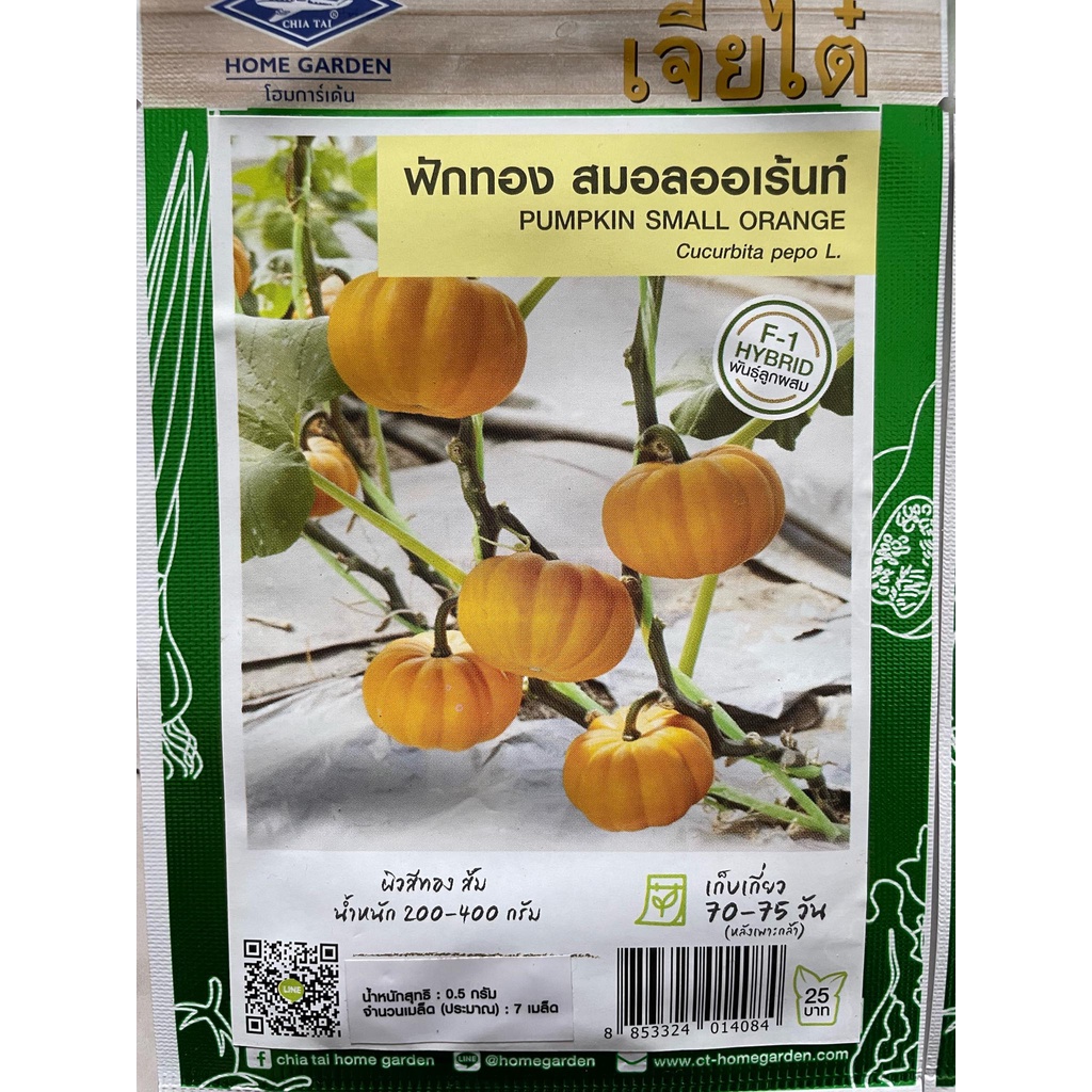 Hạt giống Bí đỏ_bí ngô cam Baby Boo F1 leo giàn nhập Thái lan nguyên gói ~10 hạt (pumpkin Small Orange)