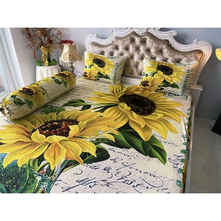 Bộ drap thun lạnh ý 5D cao cấp