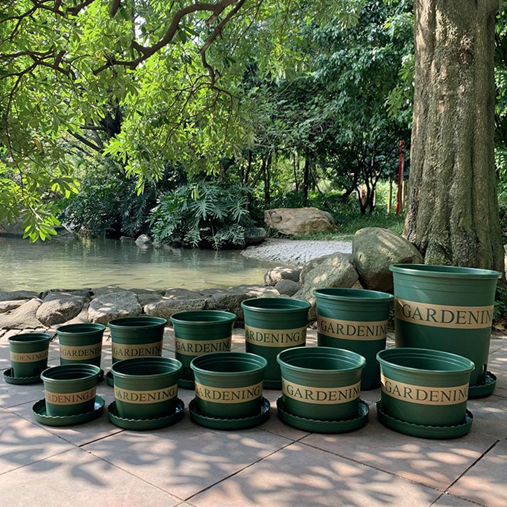 Chậu trồng cây bằng nhựa hình hoa hồng phong cách Bắc Âu